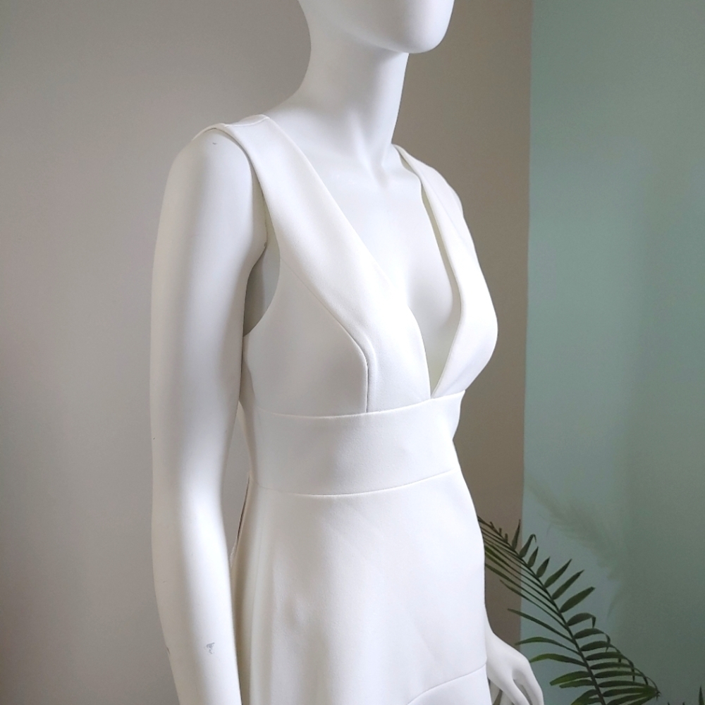 BCBG New Dress
